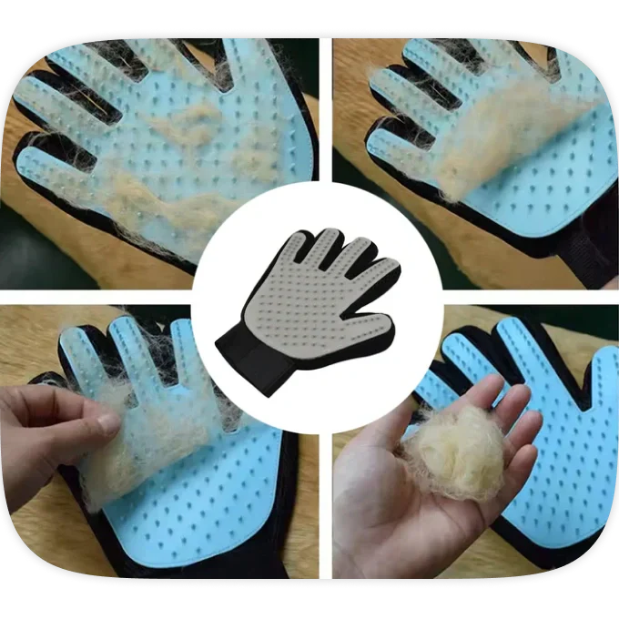 Cleaning Supplies