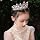 Pink Butterfly Flower Pearl Rhinestone Queen Crown, Princess Crown Headband, Tiara for Girls, Women, Bride, Bridal Costume, Birthday Party, Holiday, Norm, Alloys, White Stone