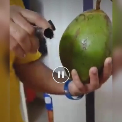 Coconut Opener Tool – Stainless Steel & Easy Grip | Quickslice